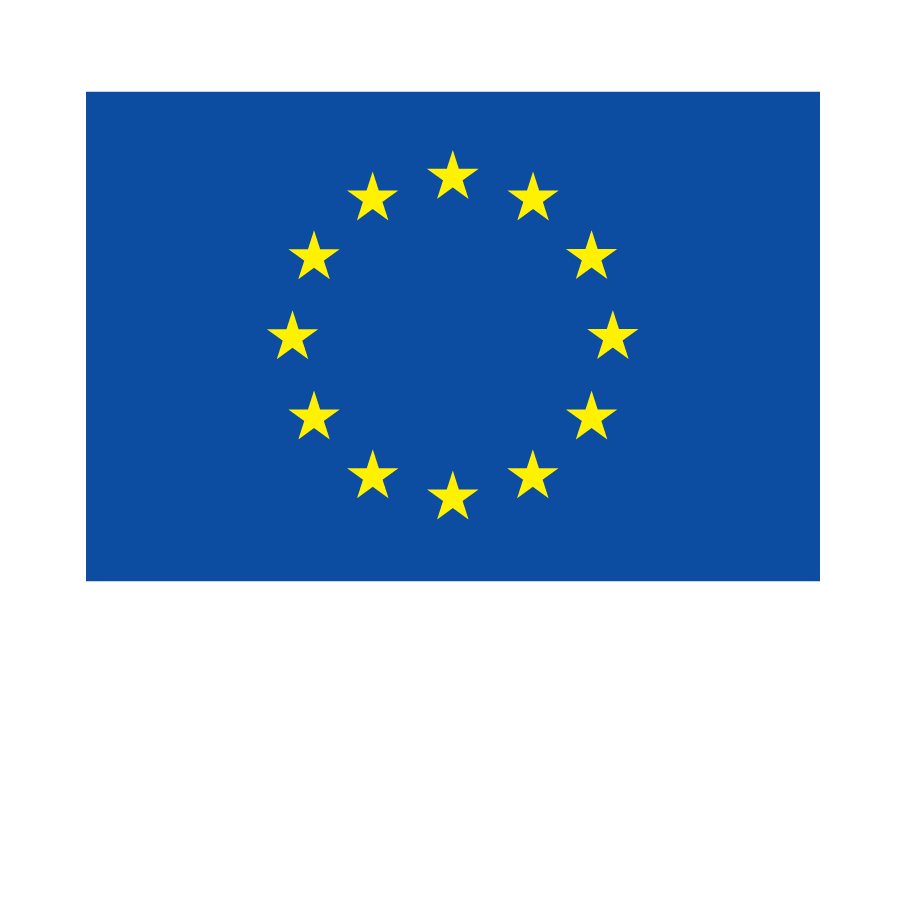 Co-funded by the European Union logo in its original blue and yellow colours.